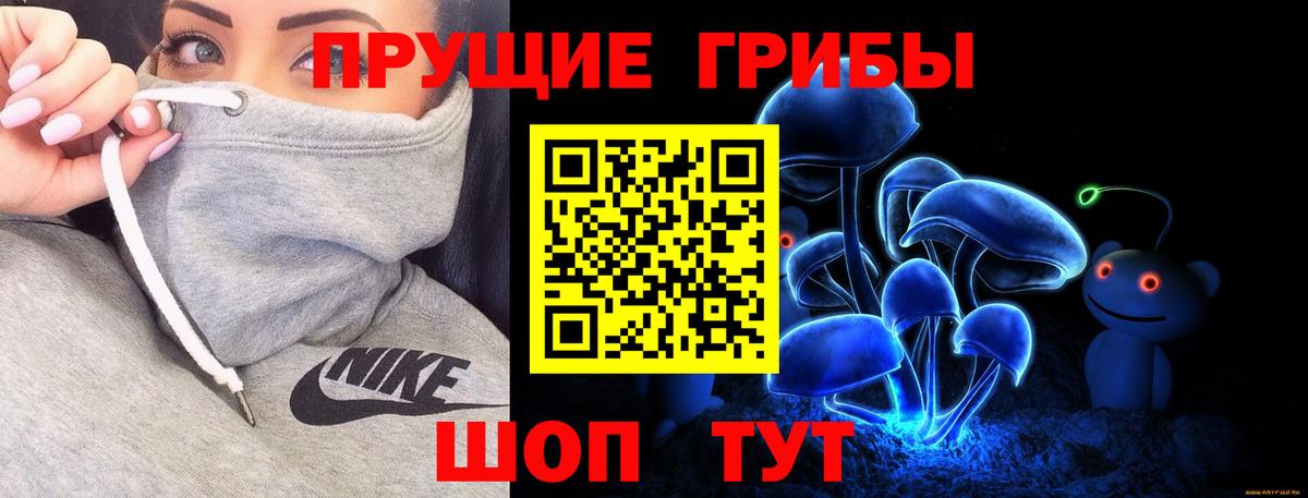 купить закладку  Псилоцибиновые грибы Psilocybe  Братск  Вход с VPN  Псилоцибиновые грибы Cubensis 