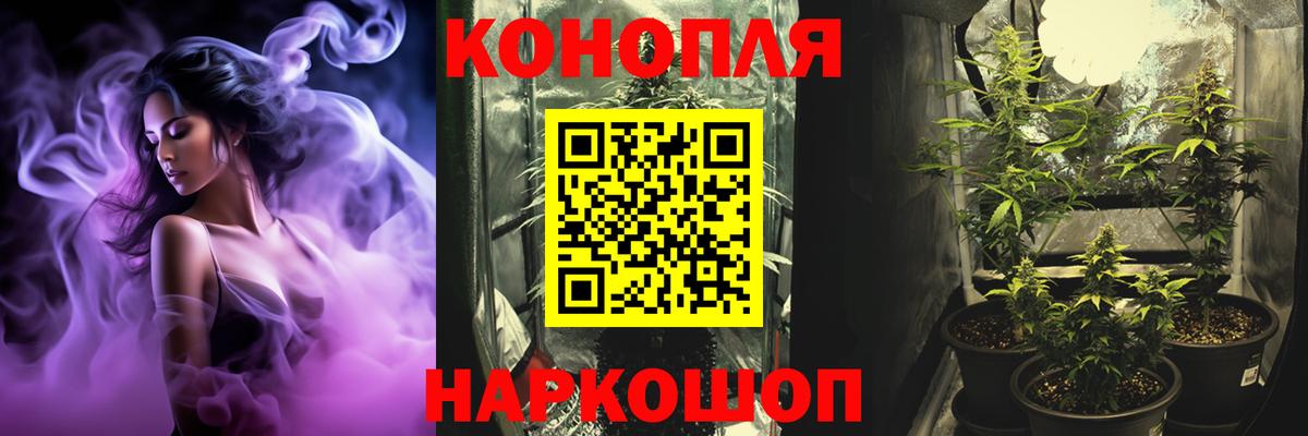 Братск  Марихуана тримм  Вход с VPN  МАРИХУАНА индика  Конопля White Widow 